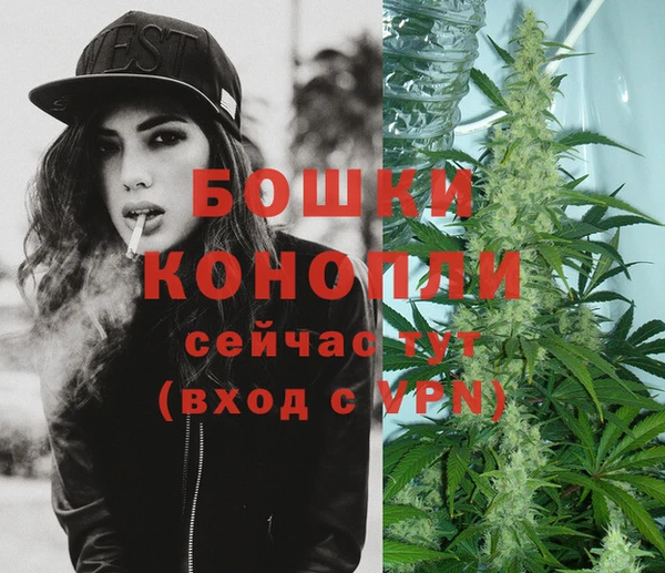 стафф Верея