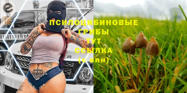 стафф Верея