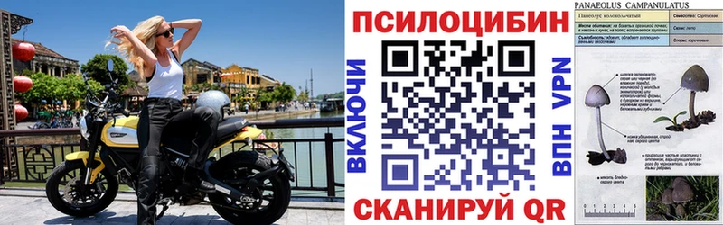 Галлюциногенные грибы Magic Shrooms где продают наркотики Карабаново